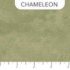 Toscana Chameleon - 9020 - 742 - Northcott Fabrics - Nebraska Quilt Company - F2401885