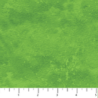 Toscana Rainforest - 9020-73 - Northcott Fabrics - Nebraska Quilt Company - F63565