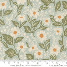 True Love Robins Egg Aqua Teal - 5260 14 - Moda Fabrics - Nebraska Quilt Company - F261406