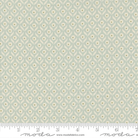 True Love Wall Flower Robins Egg Aqua - 5262 14 - Moda Fabrics - Nebraska Quilt Company - F261440