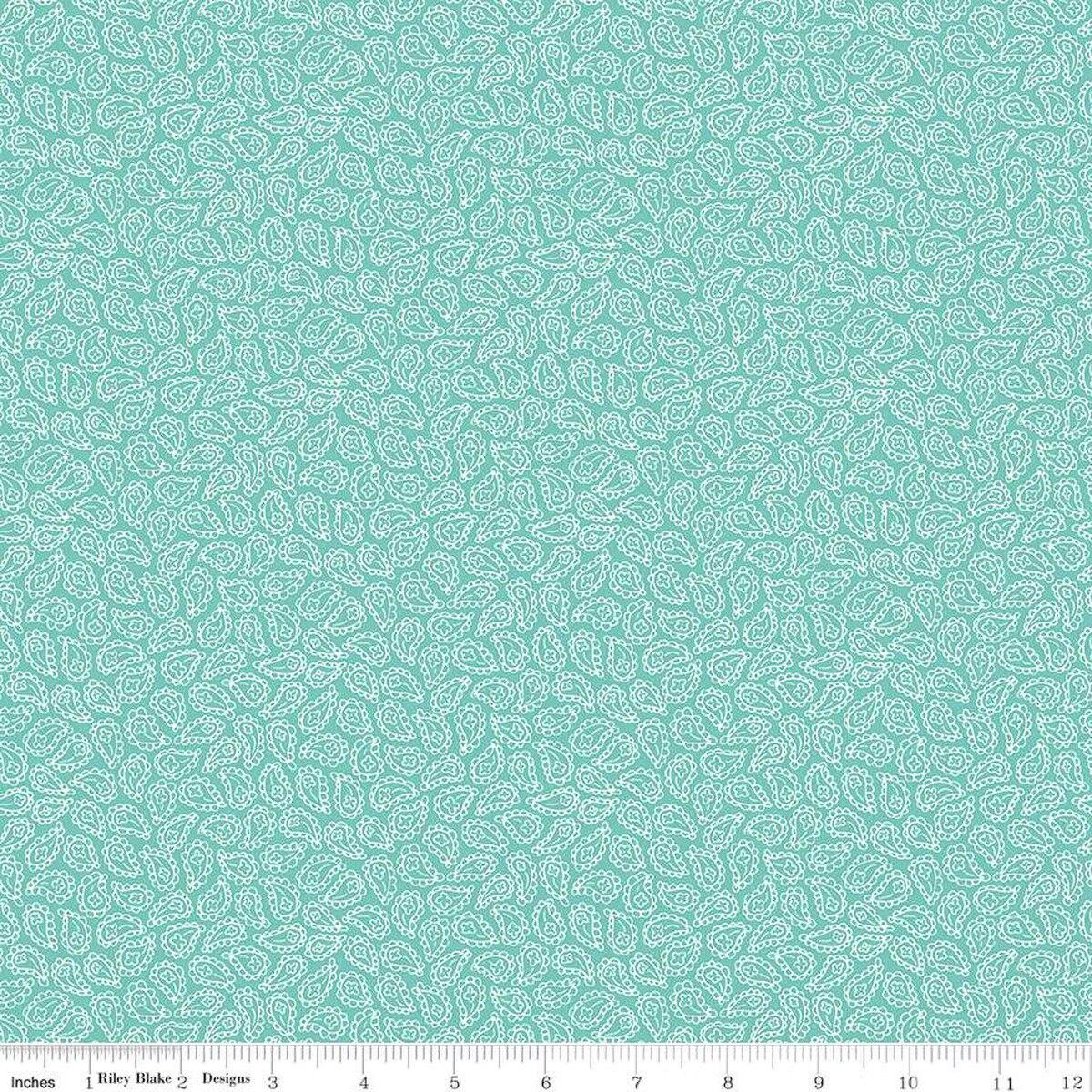 Vibrance Paisley Aqua Green - C15955 - AQUA - Riley Blake Designs - Nebraska Quilt Company - Vibrance Paisley Aqua Green - C15955 - AQUA - Riley Blake Designs