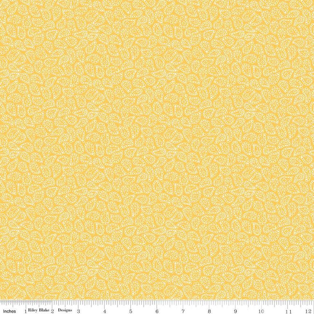 Vibrance Paisley Sherbet Yellow - C15955 - SHERBET - Riley Blake Designs - Nebraska Quilt Company - Vibrance Paisley Sherbet Yellow - C15955 - SHERBET - Riley Blake Designs