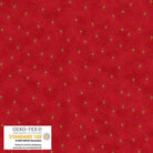 We Love Christmas Stars Metallic Red - 4592M - 401 - Blank Quilting - Nebraska Quilt Company - F2403029