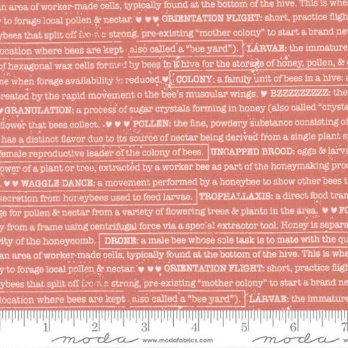 Wild Honey Buzz Words Text and Words Rose Water Pink - 5254 13 - Moda Fabrics - Nebraska Quilt Company - F2501730