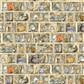 Witch's Tale Digital Bookshelf Light Caramel Tan - Y4787 - 64 - Clothworks - Nebraska Quilt Company - F261091
