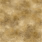 Witch's Tale Digital Texture Caramel Brown - Y4794 - 65 - Clothworks - Nebraska Quilt Company - F261105