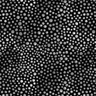 108" Wide Rainbow Droplets Water Droplets Charcoal - 108RAINBOWD - B - 3328 - 98 - Blank Quilting - Nebraska Quilt Company - F06403