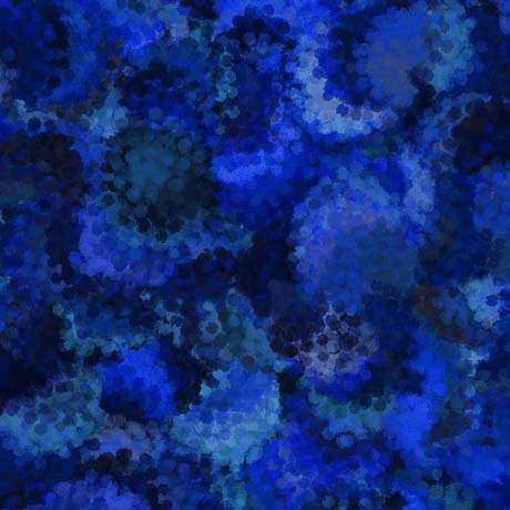 108" Wide Serendipity Midnight - 30171 - W - QT Fabrics - Nebraska Quilt Company - F09572