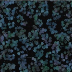 Bali Batik Breeze Eucalyptus Black Blue - V2531 - 215 - Hoffman Fabrics - Nebraska Quilt Company - F08124