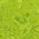 BeColourful Early Dew - BC24Q - X - Anthology Fabrics - Nebraska Quilt Company - F07667