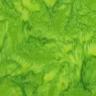 BeColourful Meadow - BC23Q - X - Anthology Fabrics - Nebraska Quilt Company - F07666