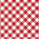 Chillin & Grillin Gingham Check Red/White - 14359 - 19 - Benartex - Nebraska Quilt Company - F07751