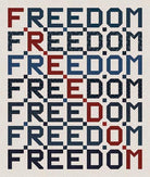 Freedom Pattern - Nebraska Quilt Company - PUB04809