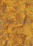 Jewels of the Islands Golden Purple Fairy Dots - 0211 - Batik Textiles - Nebraska Quilt Company - F08373