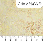 Ketan Champagne - 81000 - 155 - Banyan Batiks - Nebraska Quilt Company - F02465