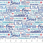 Patriot Patriotic Phrases White - DP25544 - 10 - Northcott Fabrics - Nebraska Quilt Company - Patriot Patriotic Phrases White - DP25544 - 10 - Northcott Fabrics