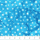 Patriot Stars Light Blue - DP25545 - 44 - Northcott Fabrics - Nebraska Quilt Company - F06086