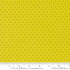 Strawberry Lemonade Lemonade Pinwheel Blenders - 37675 18 - Moda Fabrics - Nebraska Quilt Company - F05883