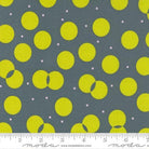 Sweet and Plenty Graphite - 22450 15 - Moda Fabrics - Nebraska Quilt Company - F04858