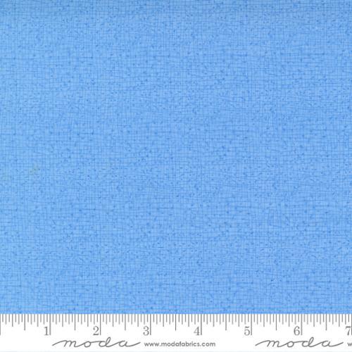 Thatched Forget Me Not - 48626 171 - Moda Fabrics - Nebraska Quilt Company - F04830