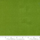 Thatched Grass Green - 48626 197 - Moda Fabrics - Nebraska Quilt Company - F06010