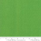 Thatched Spring - 48626 54 - Moda Fabrics - Nebraska Quilt Company - F04822