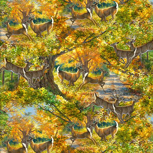 Through the Forest Light Morning Run - 20727 - MLT - CTN - D - Studio E Fabrics - Nebraska Quilt Company - Through the Forest Light Morning Run - 20727 - MLT - CTN - D - Studio E Fabrics