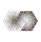 Triangle Frenzy Swirl Pattern - Nebraska Quilt Company - PUB30453